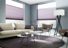 Sunway Duette® Shades
